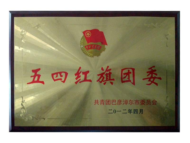 五四红旗团委.png