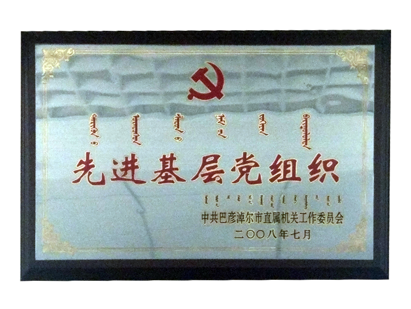 先进基层党组织.png